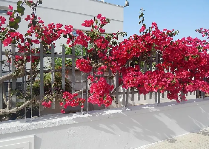 Affittacamere Monte Sant' Angelo 3*